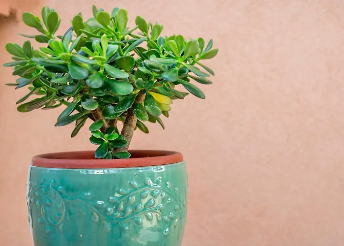 Andrea-1 By Interhome דירה *